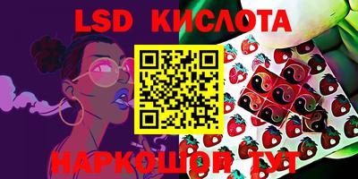 дмт Донской