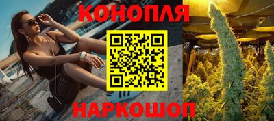 дмт Донской