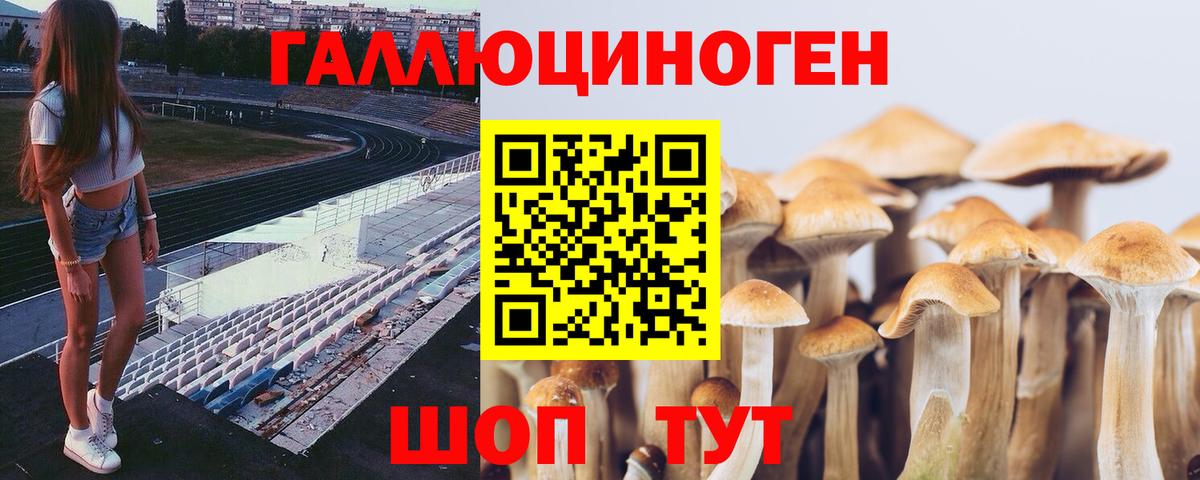 Галлюциногенные грибы мицелий Новокуйбышевск
