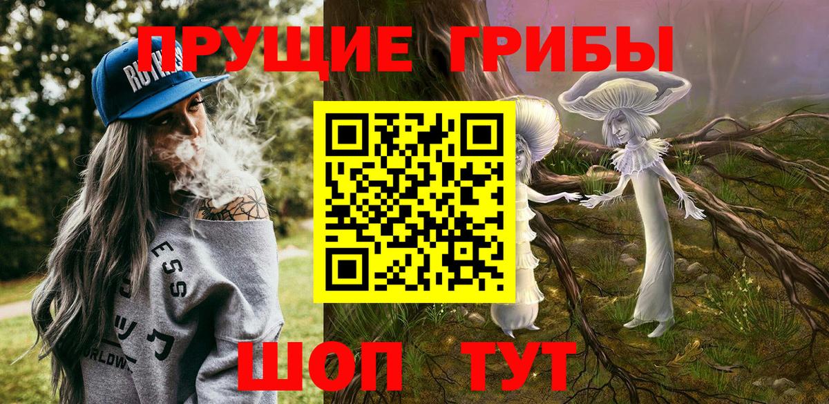 Галлюциногенные грибы Cubensis  Вход с VPN  Новокуйбышевск 